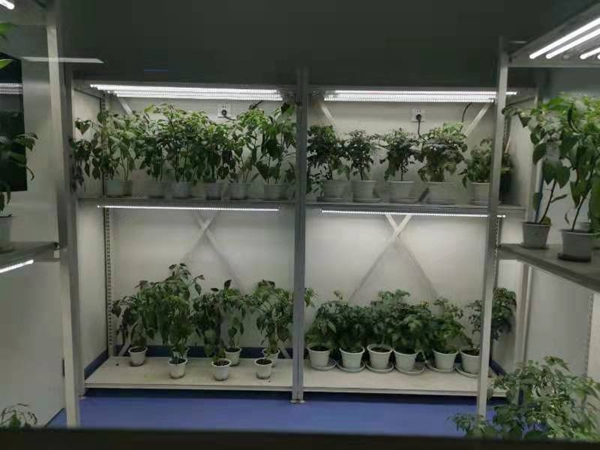 人工气候室 人工气候室