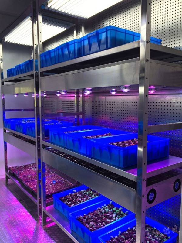 人工气候室 人工气候室