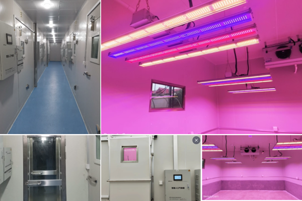 1665735771621825.png 浙江省金华市农科院人工气候室项目.png