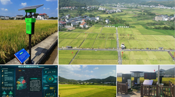 1665735786404709.png 天涯种业科学院制种基地.png