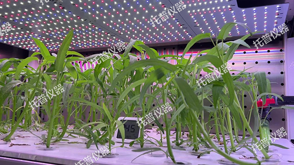 1741253443325353.png 4.png