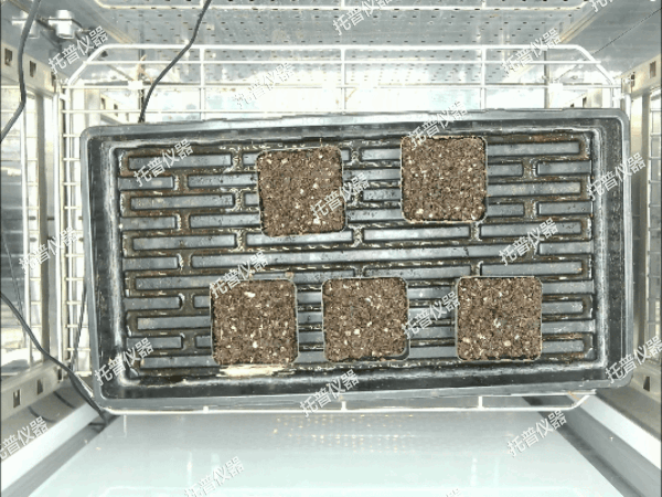 1742196876380698.gif 3(1).gif