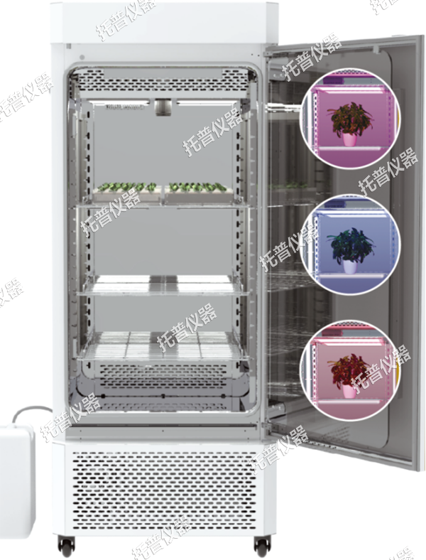 1742196896907074.png 5.png