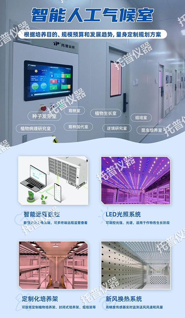 1742457806582364.jpg 2.jpg