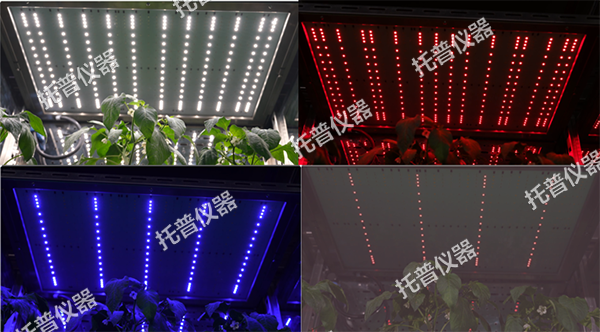 1744610653702389.png 图片2.png