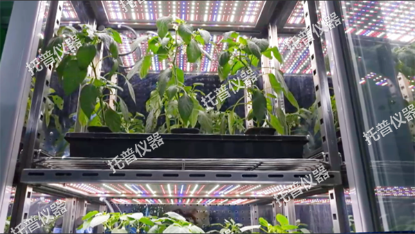 1744610664450083.png 图片3.png