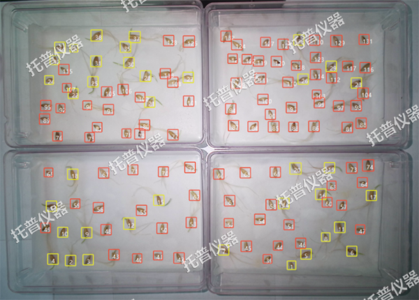 1744610697892644.png 图片5.png