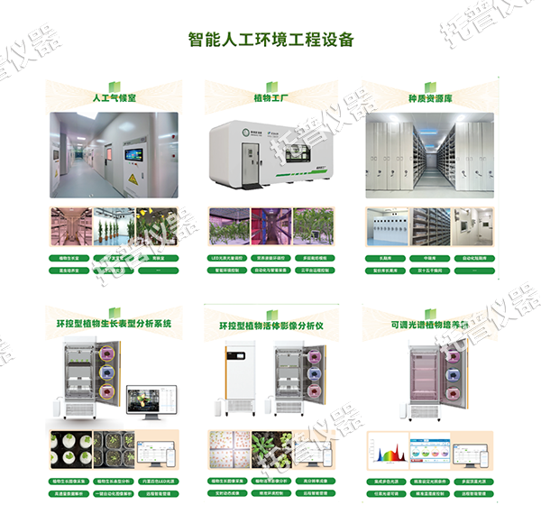 1754897505157061.png 图片1.png