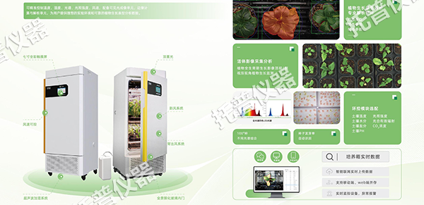 1754897541322494.png 图片5.png